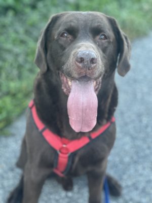 Sam